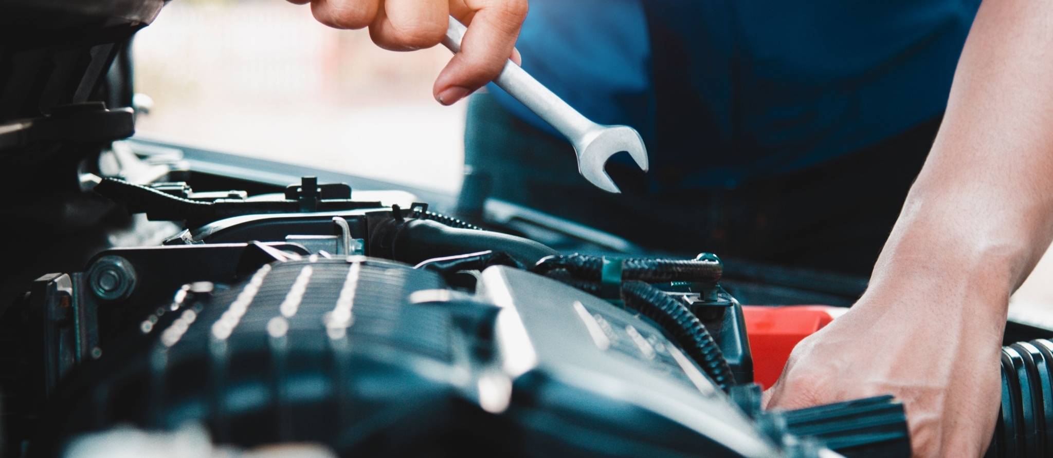 Image de la galerie 6